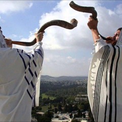 Rav Boubli | Pourquoi ne sonne-t-on le Shoffar pendant Shabbat ?