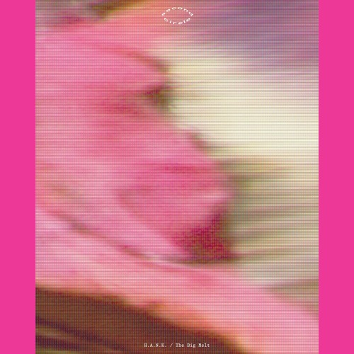 A1. H.A.N.K. - Cruise