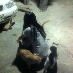 newyearnewme (beauxlol)