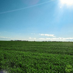 Cross Country (Original Mix)