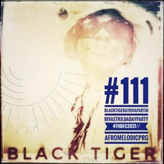 #111||BlackTigerAtRivaPartIII||RivaStKildaDayParty||04Dec2021||AfroMelodicPrg