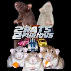 2 Rats 2 Furious