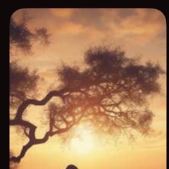 Strength for the Assignment