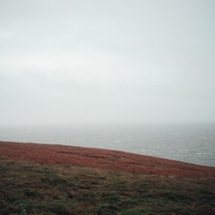 Tones I- dance monkey- cover du samedi