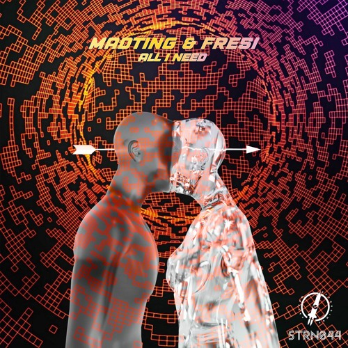 MadTing & Fresi - All I Need