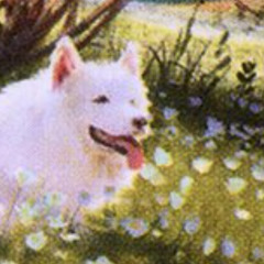 pay my ransom george bush