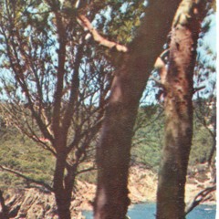 J-5 - Laisse Moi Te Voir (Feat. Diana Hutch)