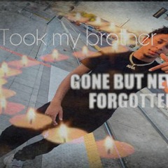 Took My Brother