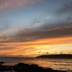 Inkster November Mix