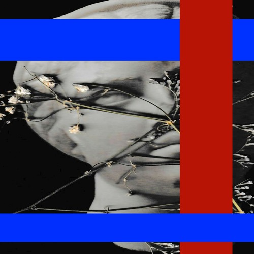 Synthium - Helena Markos