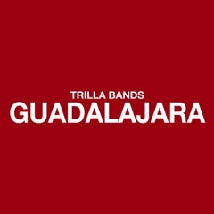 Guadalajara -Trilla Bands