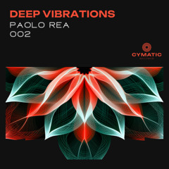 Deep Vibrations 002: Paolo Rea, Minimal / Deep Tech Mix