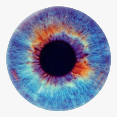 frm the d to la 🥤