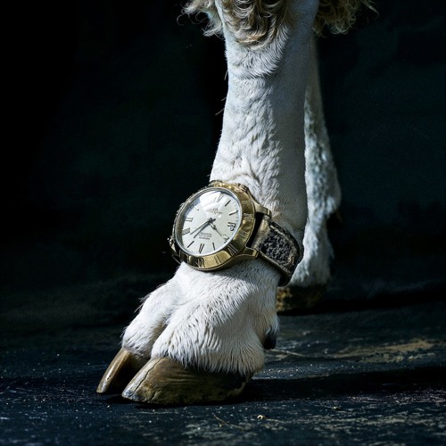 Sad Night Dynamite - Wake Up, Pass Out (Instrumental)