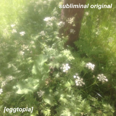 Subliminals soft