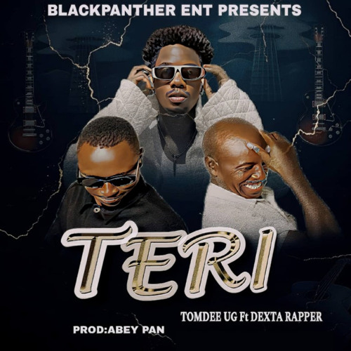Teri (feat. TomDee Ug)
