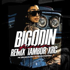 MC BRUNA ALVES - DE BIGODIN FININ [ DJ RD DO MARTINS ]