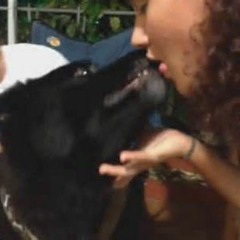 Alyssa Rosales Shagged By Dog
