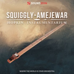 Phi Yaan-Zek - We're Buzzing (Library Only) - Soundiron Squiggly Amejewar