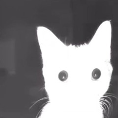 No Me Quiero Quedar Sin Ti