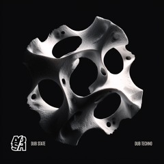 DUB STATE #1  [DUB TECHNO]