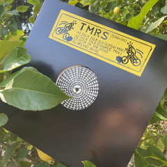 PREMIERE | Todd Modes, Ryan Spencer - Talk Talk (LA Guitar Mix)