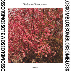 Bloom/Blossom-Instrumental