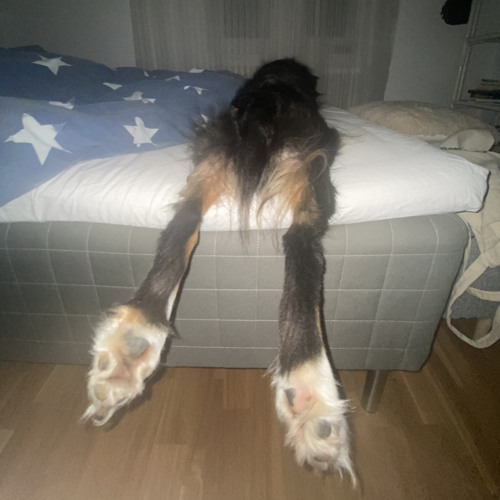 Vad Finns Kvar Remix