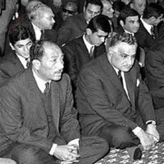 سيدي ابراهيم الدسوقي ومعجزة التمساح