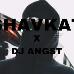 DJ ANGST // Shavkat : Freeze Corleone (Remix)