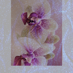 Dance Mix 2