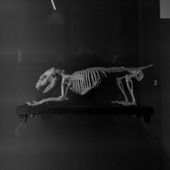 lesson nº1 - what you don't learn in a lecture