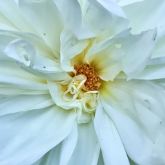 7. Highly Likely . The Recyclists . Starry Plough 9.21.24