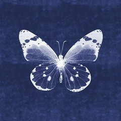Butterfly|GBear222