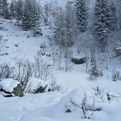 jardin d'hiver accoustic.mp3
