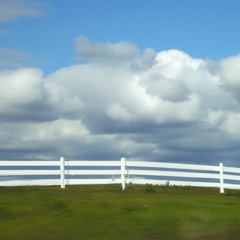 je n'ai vu qu'un seul rayon aujourd'hui, et il s'en vas deja