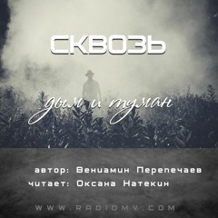 Сквозь дым и туман - Вениамин Перепечаев