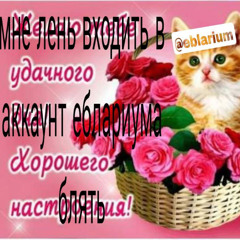 stereo$wag #sybau #ьэ #🥀