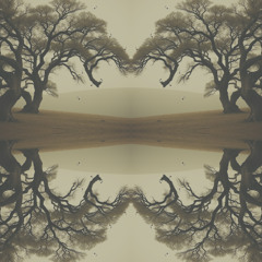 Forgotten Prayer [Priere Oubliee]