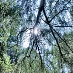 Imogen Heap - Hide And Seek (Simpa Remix)