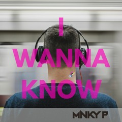 I Wanna Know - Mnky P