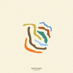 Panta Ray - Canopy [Inside Records]