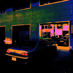 WIRED SNARES JUNGLE MIX