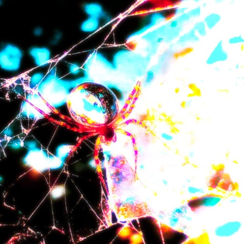 Shyntwirl - ⋋Ƹ̵̡⁠Ӝ̵̨̄⁠Ʒ Wet Spider Web Ƹ̵̡⁠Ӝ̵̨̄Ʒ⋌