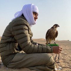 ياطيرماشفت خلي🦅.
