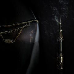 [Premiere] Veil - Echoes Of Will (Flowdan acapella) (Out November 19)