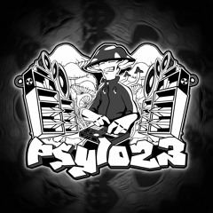 Psylo23 - Raves And Tales