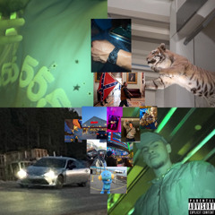 TOURIST FREESTYLE (prod. Preem)