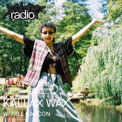 Kallax Wax 006 w/ Nill Garçon