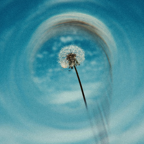 Clarity in the Details: Gate 9 Focus Activation